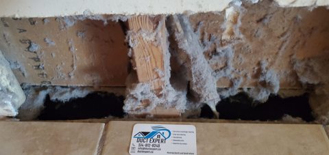 Conduit Expert project photo 29