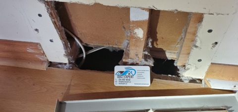 Conduit Expert project photo 30