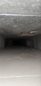 galerie (9)